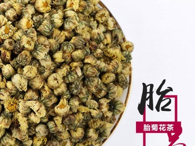 批发菊花茶新货 胎菊散装花草茶杭白菊胎菊花茶江苏胎菊批发图5