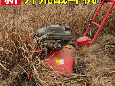 户外汽油开荒自走割草机草坪便携剪草机果园田野小坦克碎草机神器图3