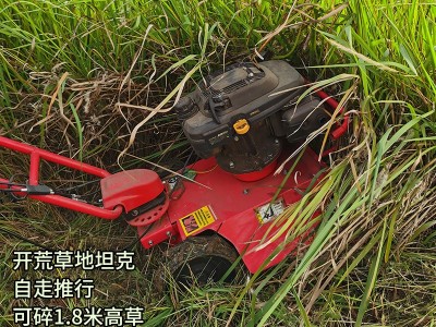 户外汽油开荒自走割草机草坪便携剪草机果园田野小坦克碎草机神器图4