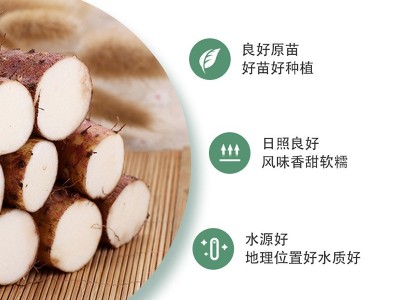 山药整箱 铁棍山药 温县铁棍山药 山药粉糯香甜 发货迅速图2