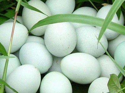 鸡蛋新鲜绿皮土鸡蛋40枚农家散养谷物正宗草鸡蛋柴鸡蛋批发整箱图3