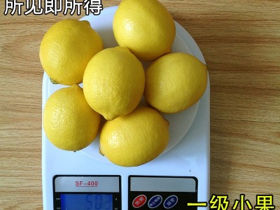批发四川安岳黄柠檬 新鲜小果 70-90g 一斤6个皮薄汁多 5斤起卖图3