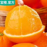 宜橙 纽荷尔脐橙 3斤5斤9斤 高甜微酸 爆汁橙子 湖北现摘新鲜水果
