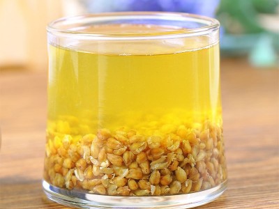 工厂销售苦荞茶500克装 胚芽茶1斤装 餐馆用茶 荞麦茶 米香茶图4