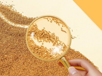 三匠苦荞茶芦丁博士专业级苦荞茶大凉山苦荞支持OEM加工定制图4