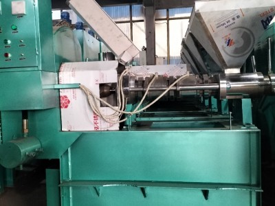 双11厂家直销花生现榨榨油机 油坊榨油机 全自动榨油机新型榨油机图2