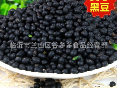 低温烘焙熟黑豆五谷杂粮青心黄芯黑豆磨坊磨粉现磨豆浆原料批发图2