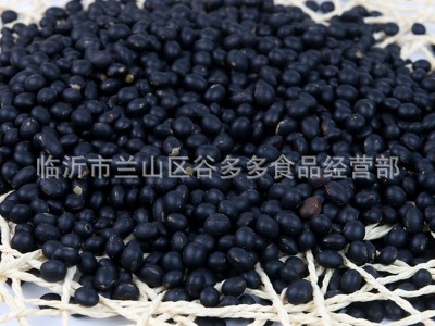低温烘焙熟黑豆五谷杂粮青心黄芯黑豆磨坊磨粉现磨豆浆原料批发图4