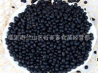 低温烘焙熟黑豆五谷杂粮青心黄芯黑豆磨坊磨粉现磨豆浆原料批发图3