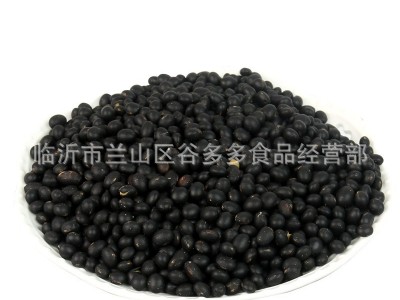 低温烘焙熟黑豆五谷杂粮青心黄芯黑豆磨坊磨粉现磨豆浆原料批发图5