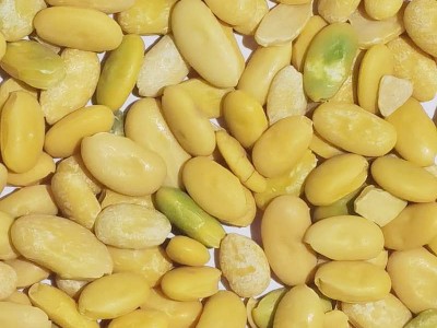 黄豆仁脱皮黄豆食品原料厂家直供可用于制作豆腐和其他豆制品加工图3