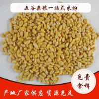 黄豆仁脱皮黄豆食品原料厂家直供可用于制作豆腐和其他豆制品加工