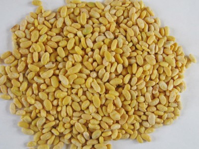 黄豆仁脱皮黄豆食品原料厂家直供可用于制作豆腐和其他豆制品加工图4