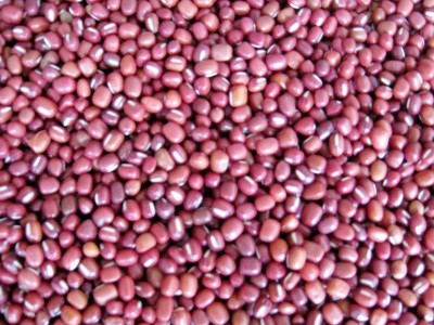 红豆大量批发 原料豆类粗粮 五谷杂粮 婴幼儿伤员病号改善伙食图2