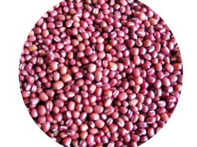 红豆大量批发 原料豆类粗粮 五谷杂粮 婴幼儿伤员病号改善伙食图5