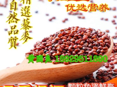 红藜麦米500g孕妇宝宝粗粮优质龙芽米非即食五谷杂粮优质红藜麦图2