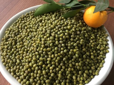 产地直销 批发25kg装 精选东北芽菜绿豆 发芽专用图3