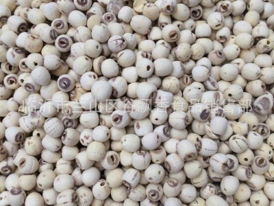 低温烘焙红莲子 无芯 现磨粉 熟红莲子 原料 批发图5