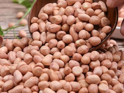 当季新货白沙花生米产地直供正阳大白沙小白沙炸油原料 一件代发图4