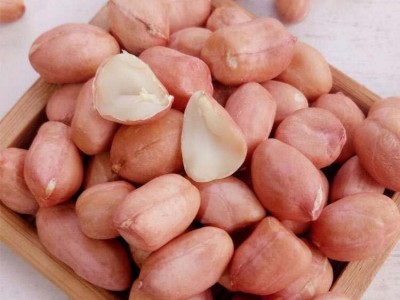 当季新货白沙花生米产地直供正阳大白沙小白沙炸油原料 一件代发图3
