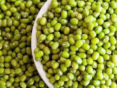 绿豆500g新货农家自产散装绿豆汤小绿豆类杂粮发豆芽批发五谷杂粮图2