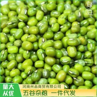 绿豆500g新货农家自产散装绿豆汤小绿豆类杂粮发豆芽批发五谷杂粮