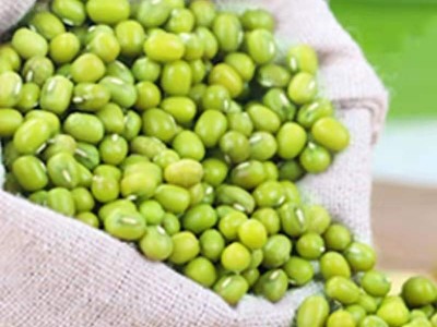 绿豆500g新货农家自产散装绿豆汤小绿豆类杂粮发豆芽批发五谷杂粮图3