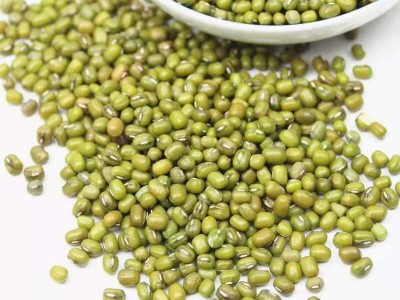 绿豆500g新货农家自产散装绿豆汤小绿豆类杂粮发豆芽批发五谷杂粮图4