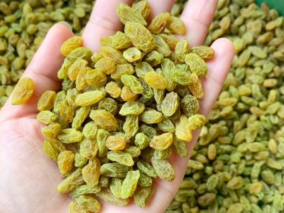 新货葡萄干新疆大颗粒葡萄干无核绿色树上黄炒酸奶茶专用包邮零食图2