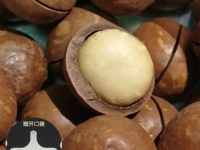 夏威夷果特大批发 10斤箱装 夏威夷果坚果代发 奶香味图1
