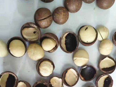 夏威夷果特大批发 10斤箱装 夏威夷果坚果代发 奶香味图4