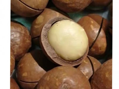 夏威夷果特大批发 10斤箱装 夏威夷果坚果代发 奶香味图5
