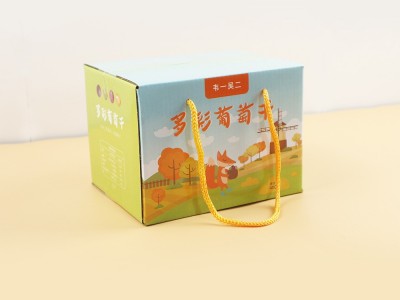 新疆特产葡萄干独立小包装40包礼盒四色400克免洗即食散装提子干图4