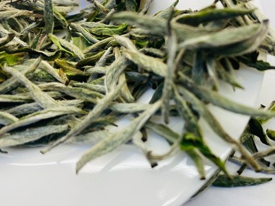 福鼎白茶白毫银针批发茶叶白茶散茶白茶饼白豪银针荒野银针2022图2