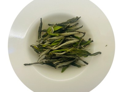 2022年明前牡丹王特级福鼎白茶散茶批发市场古树老白茶茶叶白牡丹图5