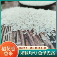 现货供应稻花香米 农家香米15kg 长粒xian米 良优米 大米厂家批发