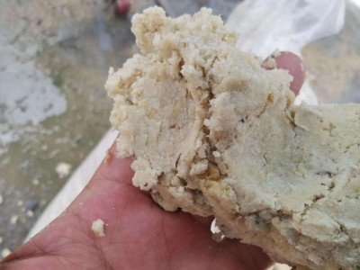 大量出售新鲜家畜饲料黄豆渣禽畜养殖猪鹅鸭鸡饲料混养鱼饲料通用图5