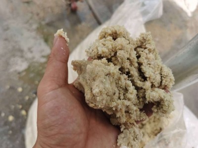 大量出售新鲜家畜饲料黄豆渣禽畜养殖猪鹅鸭鸡饲料混养鱼饲料通用图4