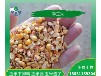 鸡鸭鹅养殖碎玉米下脚料饲料厂家大量现货供应量大优惠图2