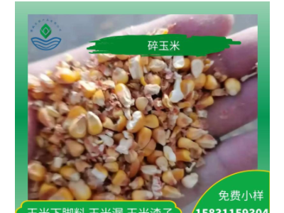 鸡鸭鹅养殖碎玉米下脚料饲料厂家大量现货供应量大优惠图1