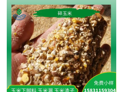 鸡鸭鹅养殖碎玉米下脚料饲料厂家大量现货供应量大优惠图5