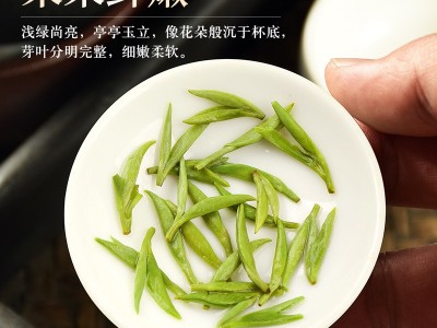 信阳毛尖厂家批发2022年新茶明前毛尖茶特级散装绿茶礼盒送礼500g图4