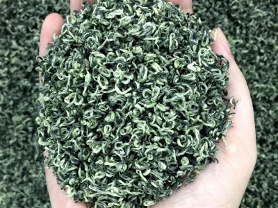 批发明前碧螺春高山云雾茶炒青散装绿茶 2022年新茶春茶苏 州源产图3