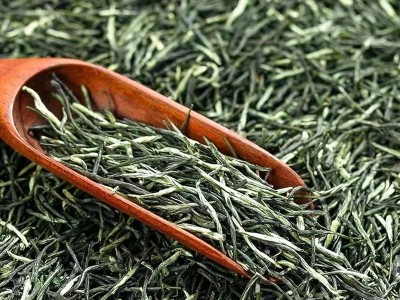 批发明前碧螺春高山云雾茶炒青散装绿茶 2022年新茶春茶苏 州源产图5