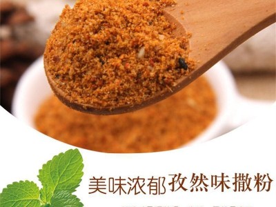 仟佳佰味孜然撒料粉500g炸鸡排撒料椒盐孜然粉烤肉烧烤调味品批发图2