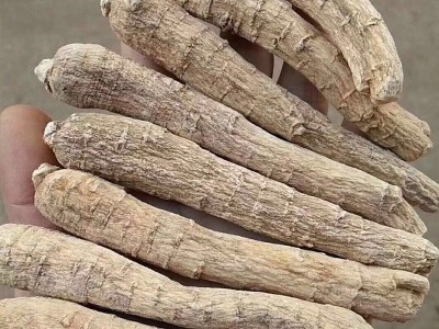 南君七西洋参批发 花旗参西洋参片粒头红参高丽参粒头磨西洋参粉图3