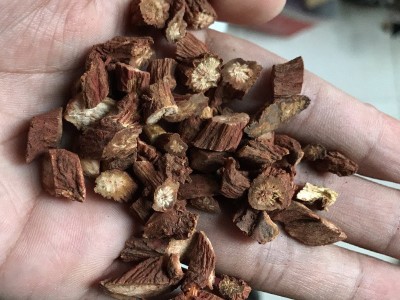 批发丹参 中药材紫丹参500g丹参片 紫丹参参可泡茶委托代磨丹参粉图4