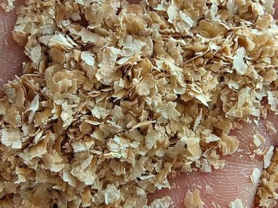 麸皮批发 饲料级麦麸牛羊养殖牧场饲料原料 蘑菇菌类种植图3