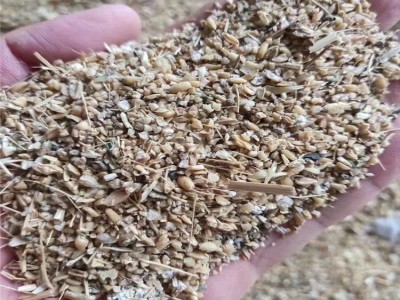 玉米下脚料 碎麦子粮食筛漏 鸭鹅养殖玉米渣子 加工家禽饲料用图3