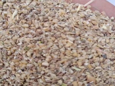 玉米下脚料 碎麦子粮食筛漏 鸭鹅养殖玉米渣子 加工家禽饲料用图2
